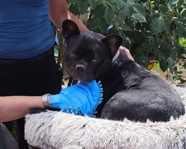 photo activite Eve Béteille