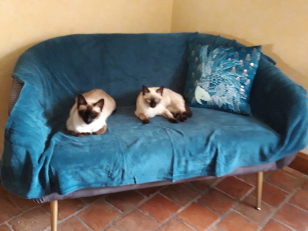 photo cabinet Eve Béteille