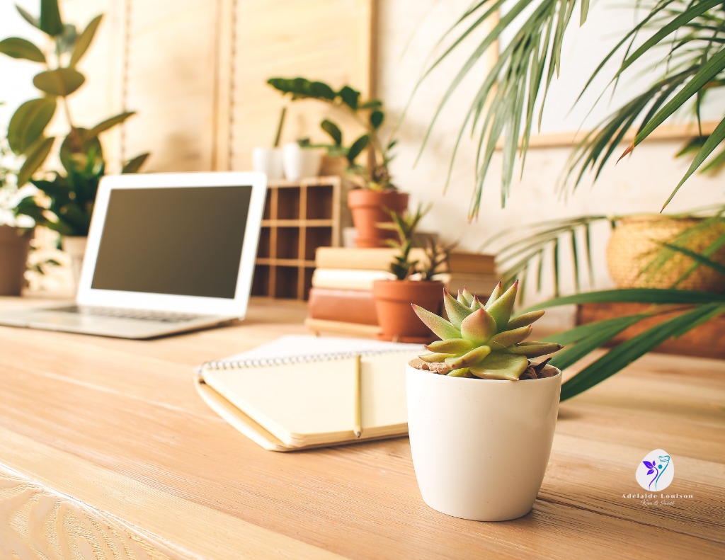 photo cabinet Adélaïde LOUISON