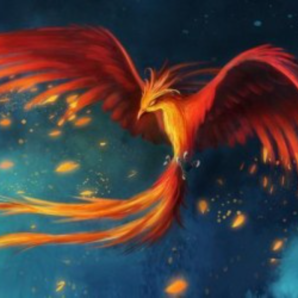 Vincent DELHAYE E.I. - "L’Élévation du Phoénix"