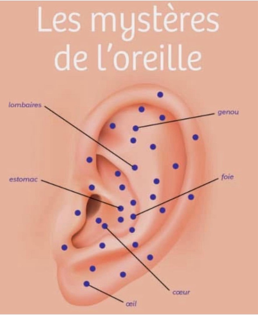 photo activite Aurore Losserand 