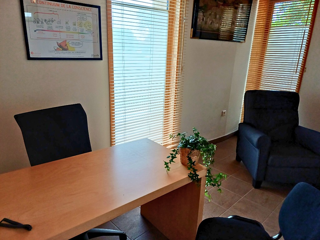 photo activite Sophie Dumur | Le Soi en Harmonie