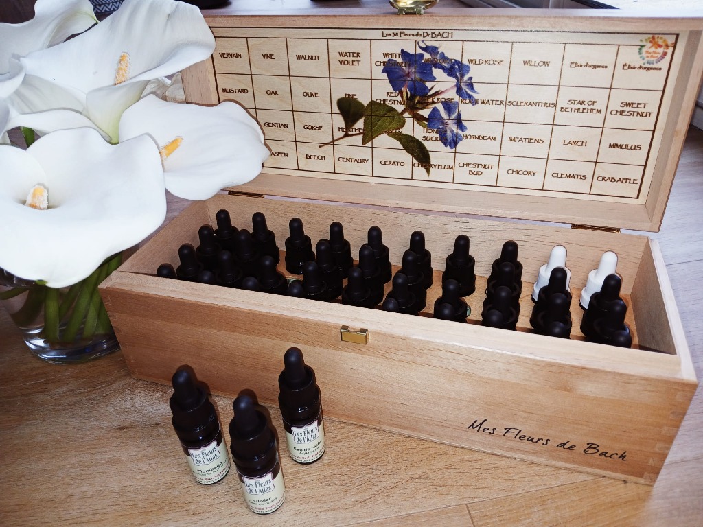 photo activite Virginie Bourdonnais réflexologie plantaire