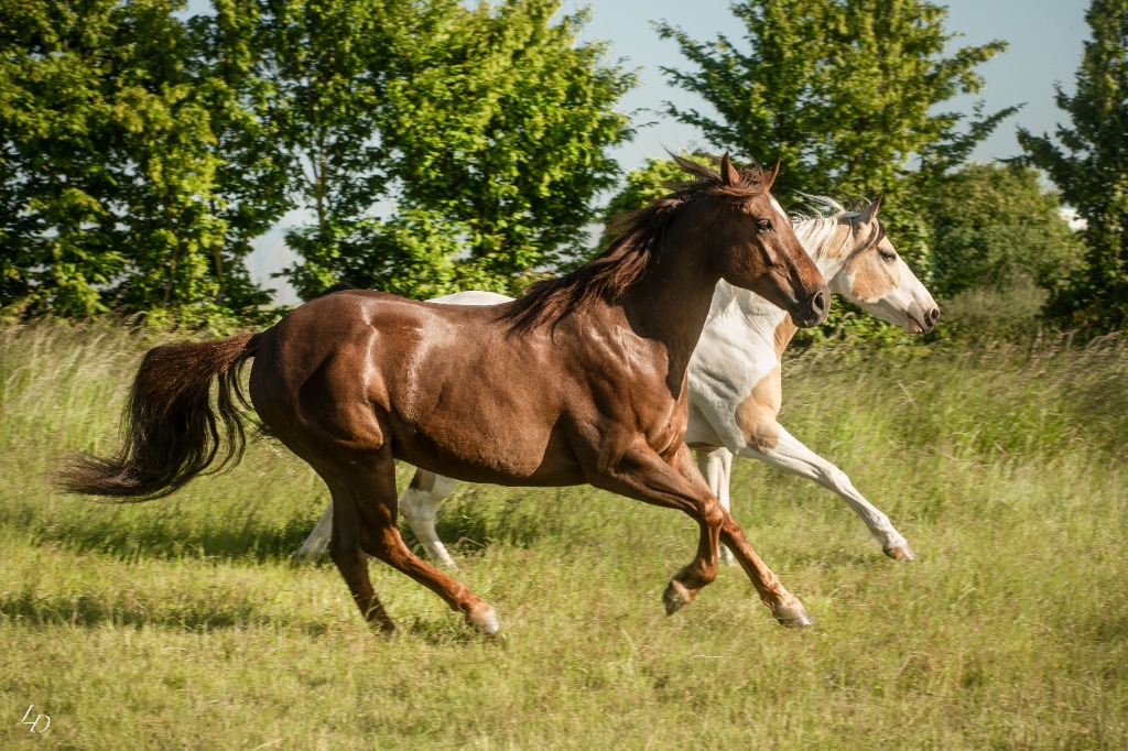 photo seance Stephanie prevot