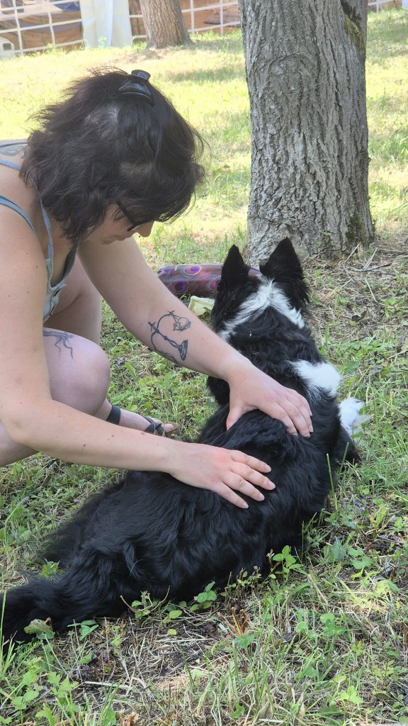 photo activite La Patte’Zen 