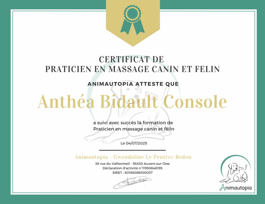 photo diplome La Patte’Zen 