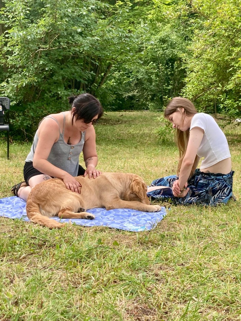 photo seance La Patte’Zen 