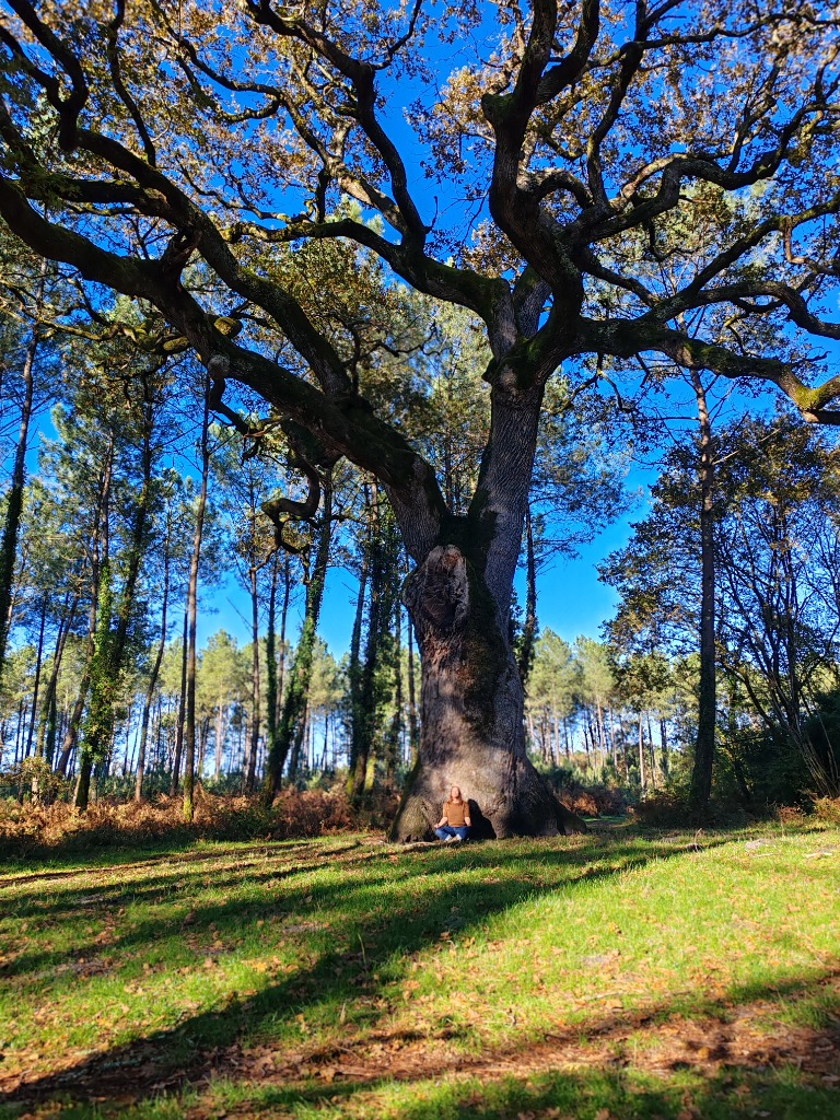 photo activite AMARYS - Cabinet de Psychogénéalogie