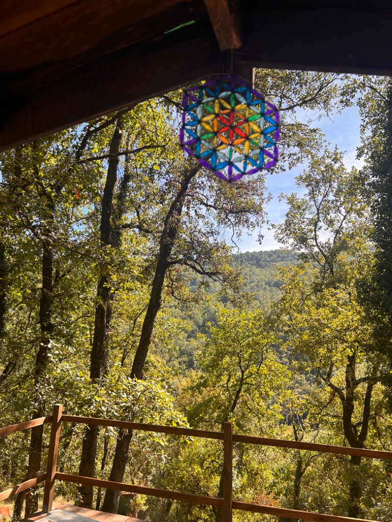 photo activite Florence faraldi 