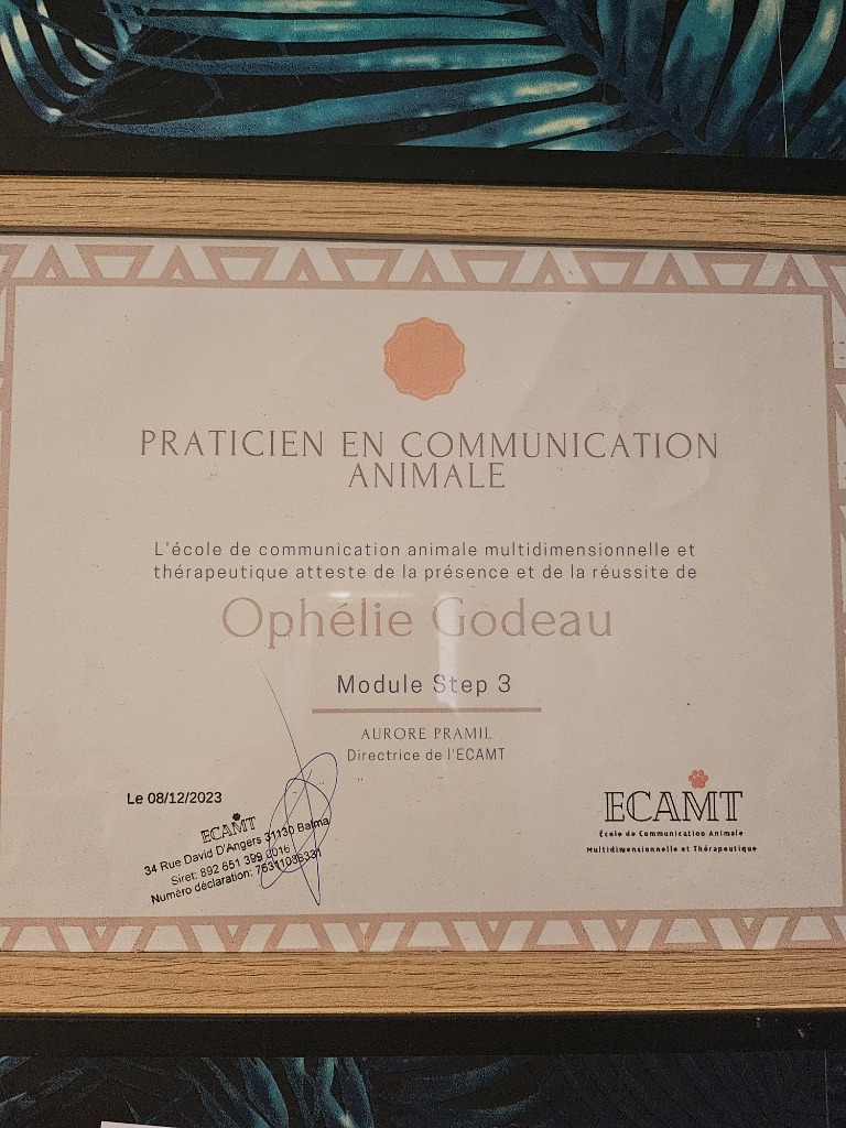 photo activite Ophelie communication animale