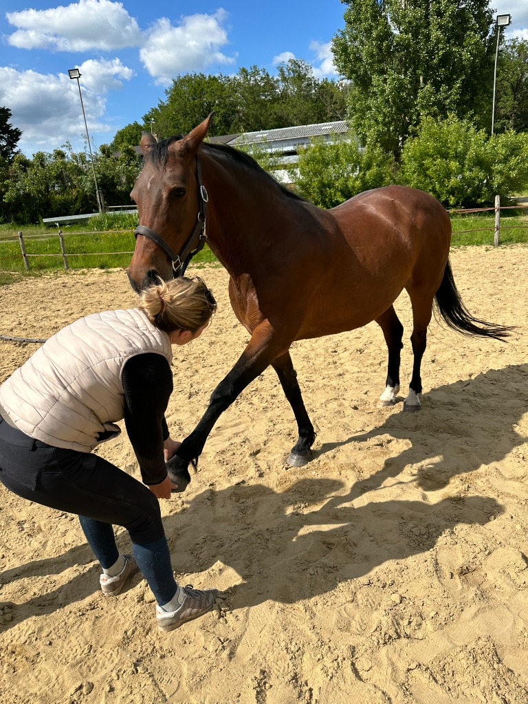 photo seance HOUDIN Louna