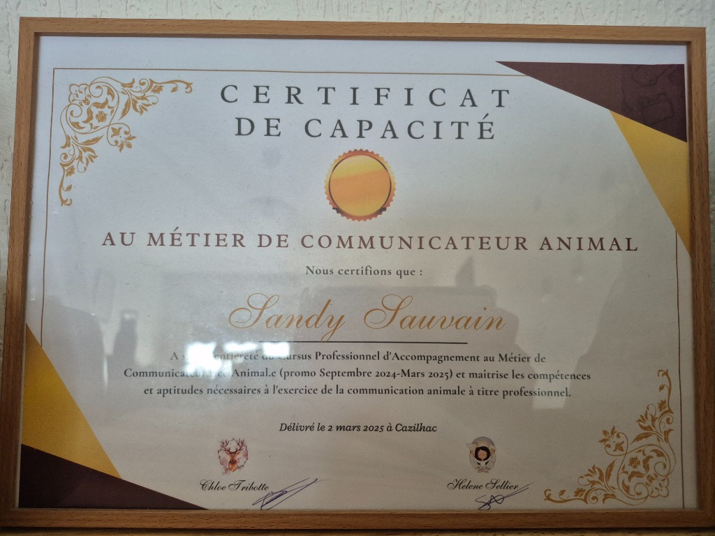 photo diplome Carniya