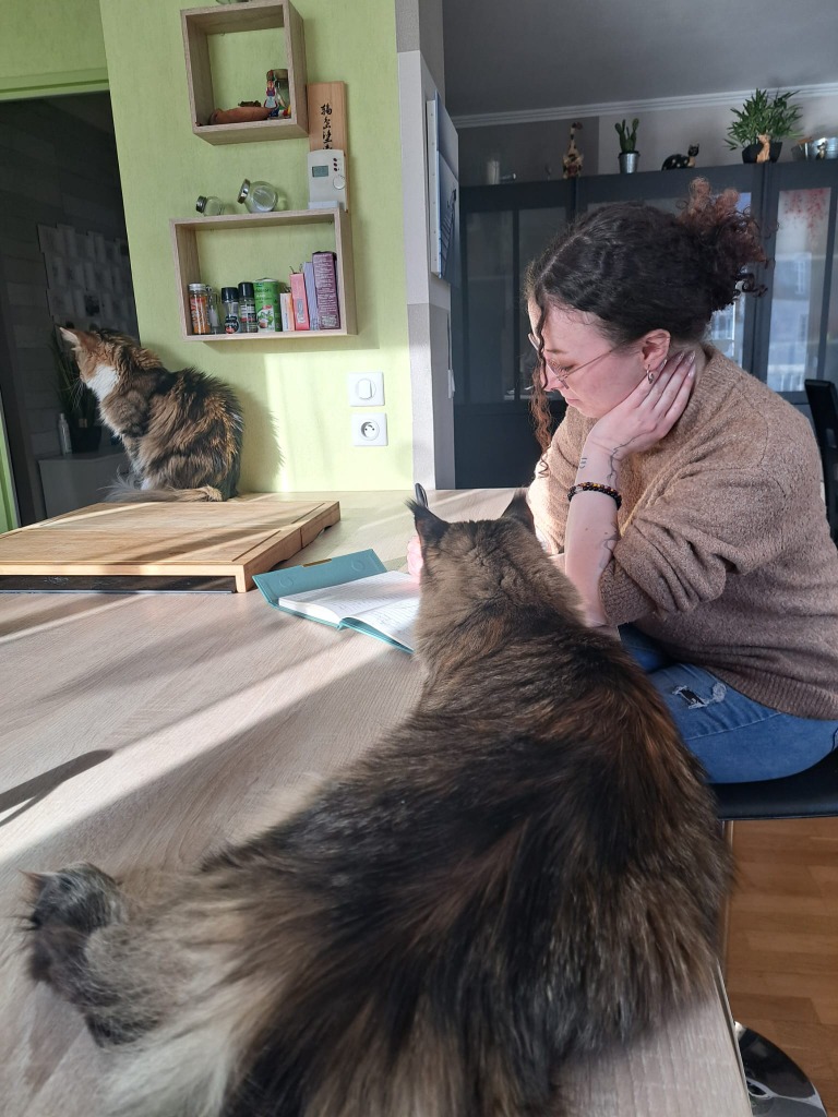 photo seance Carniya