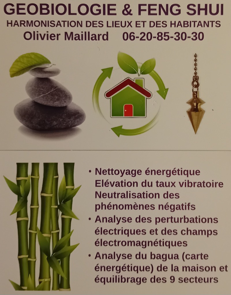 photo cabinet Olivier Maillard 