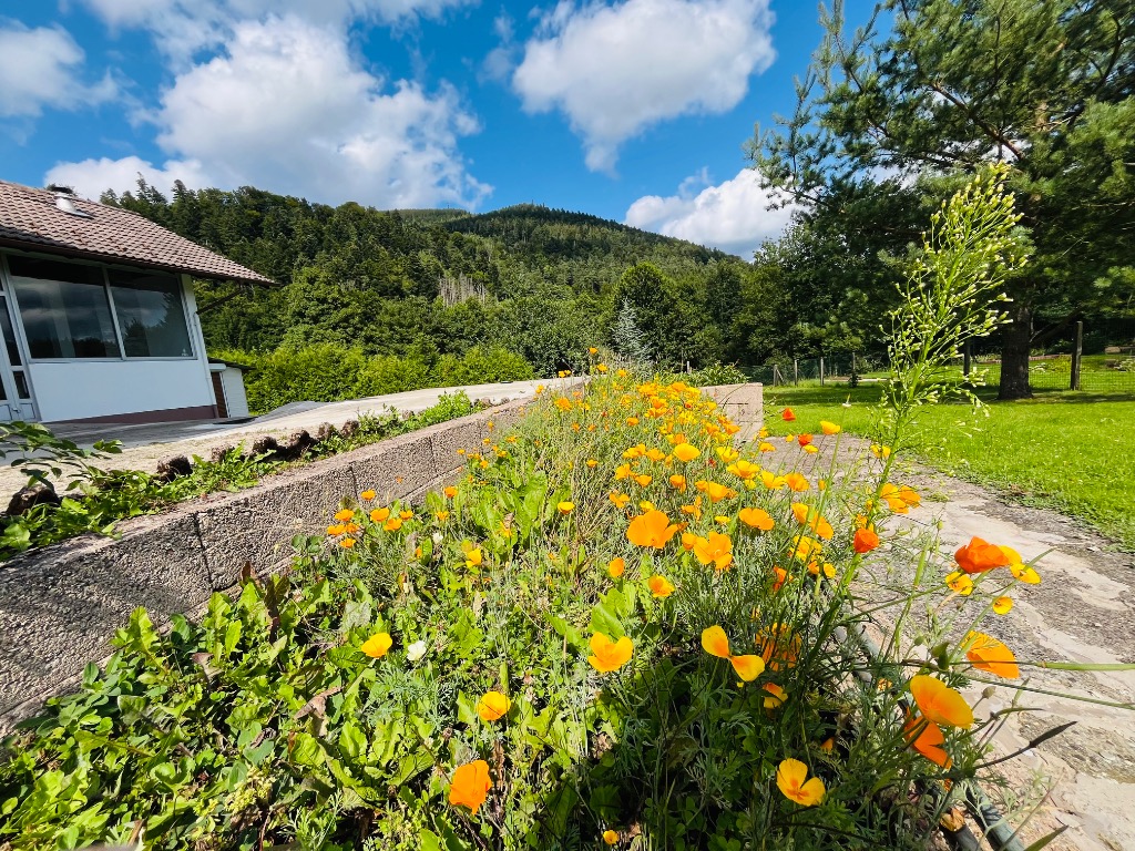 photo activite SYLVIE CHAIN CABINET