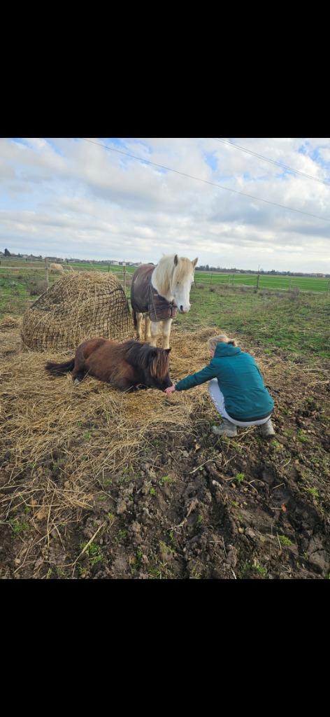 photo activite Mélina Philippin