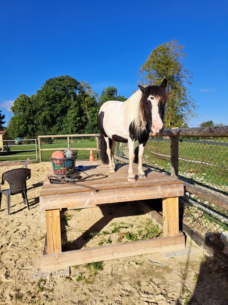 photo cabinet Mélina Philippin