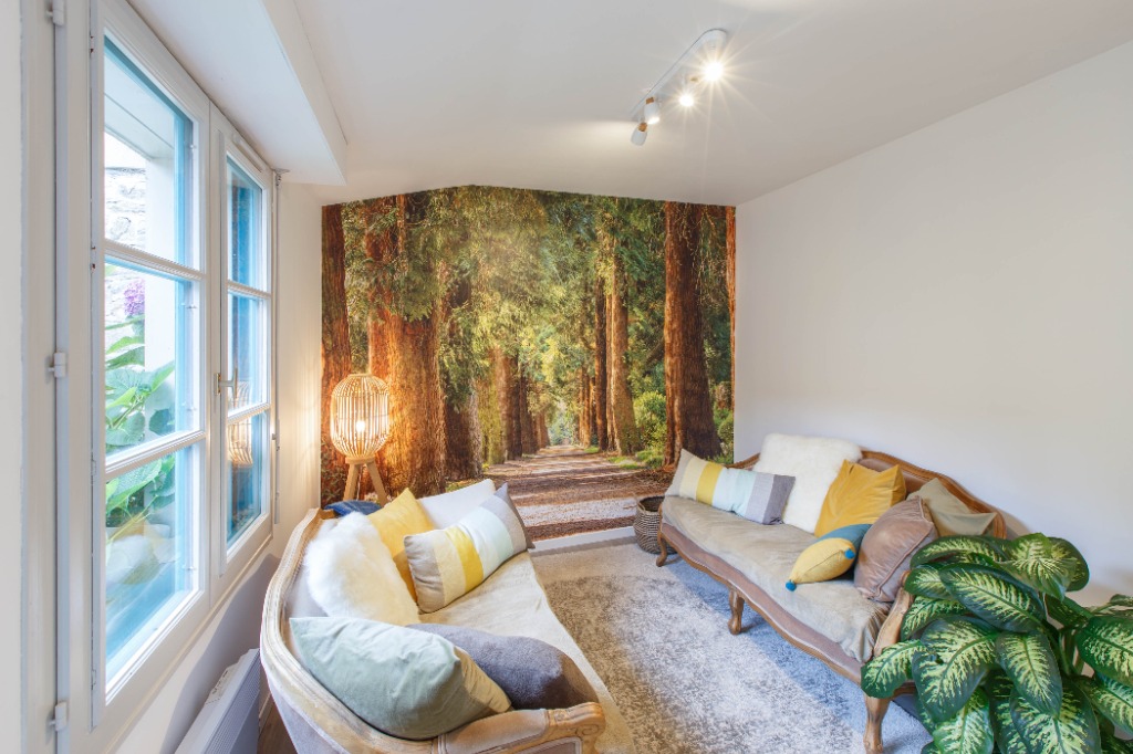 photo cabinet Frédérique Balaszynski