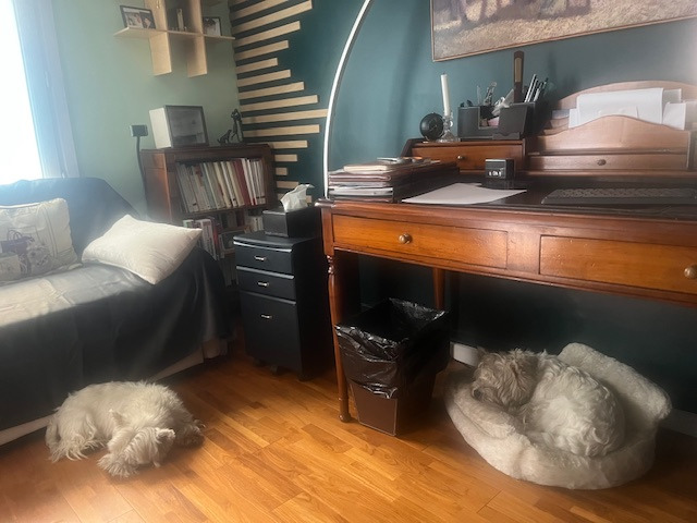 photo activite Lapidus-Attia Muriel