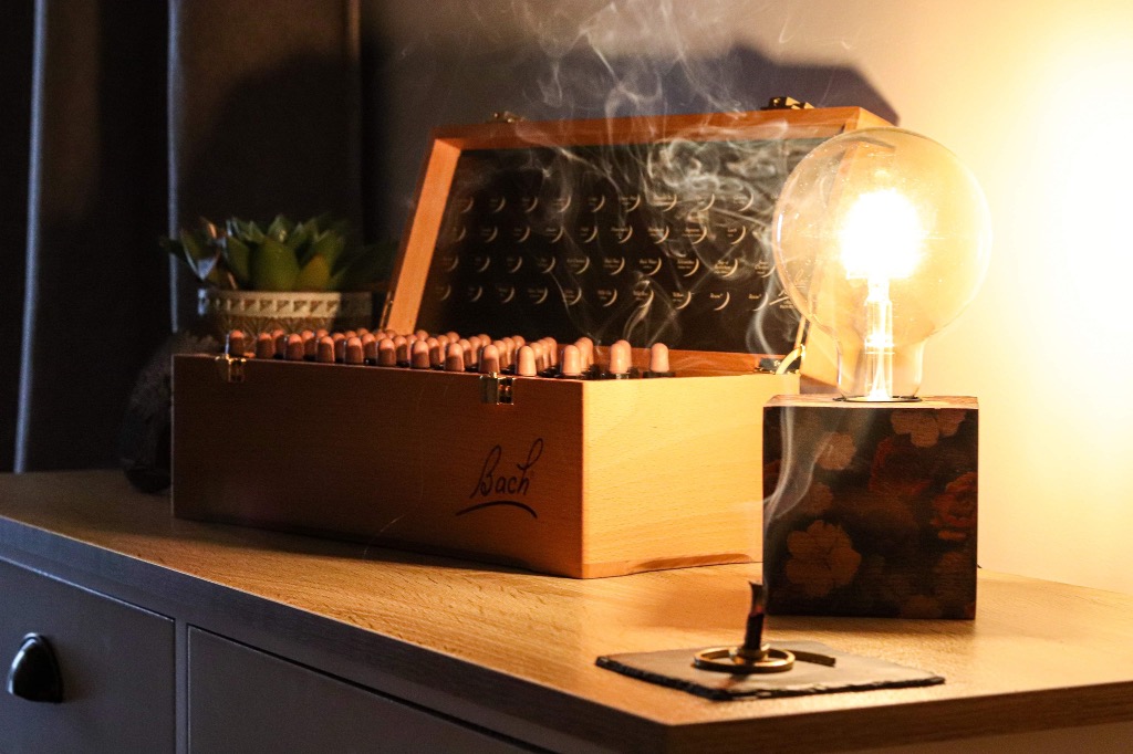 photo activite La Naturo par Elo