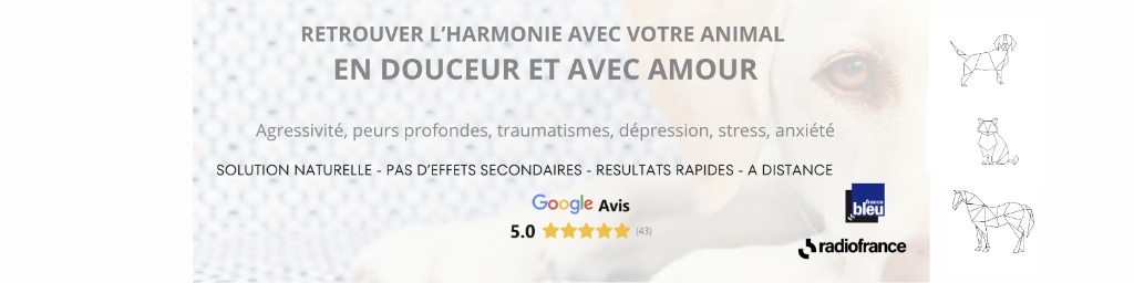 photo cabinet Astrid Matrand