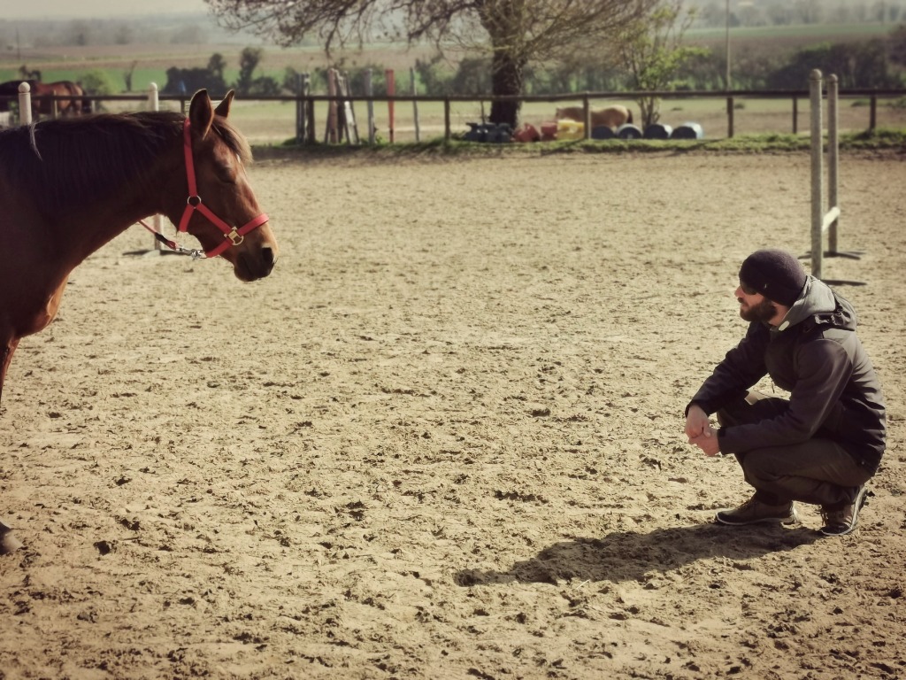 photo activite EL Equithérapie 