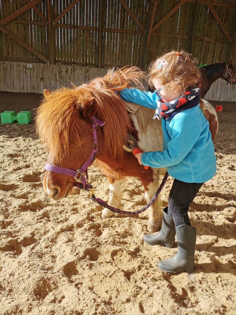 photo diplome EL Equithérapie 