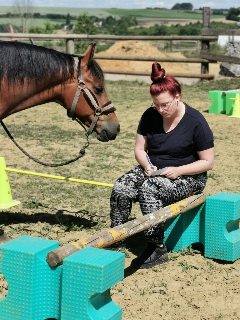 photo seance EL Equithérapie 
