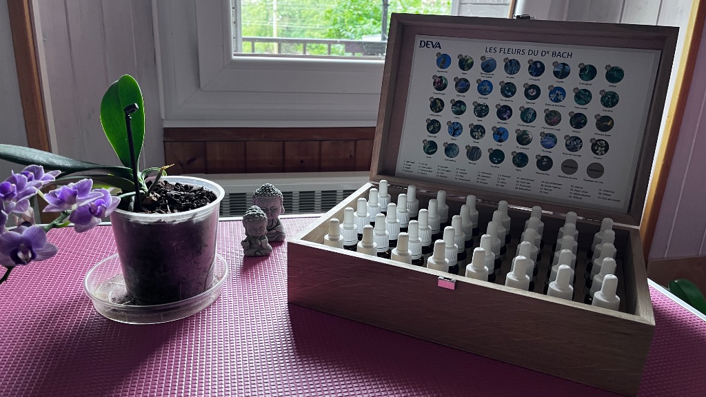 photo activite Stéphanie Cerantola