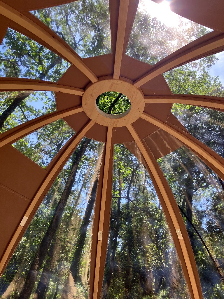 photo cabinet Solange Strougmayer