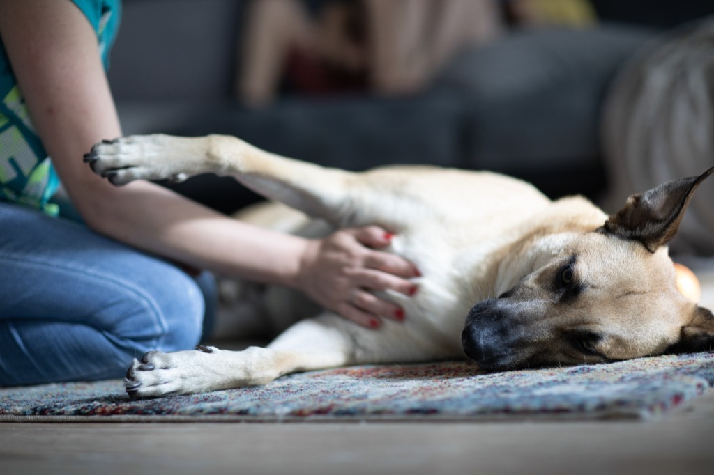 photo seance Pat-tate.fr