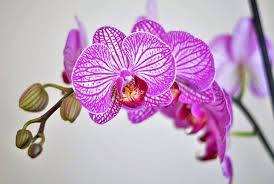 photo cabinet Prendre soin de soi , massage