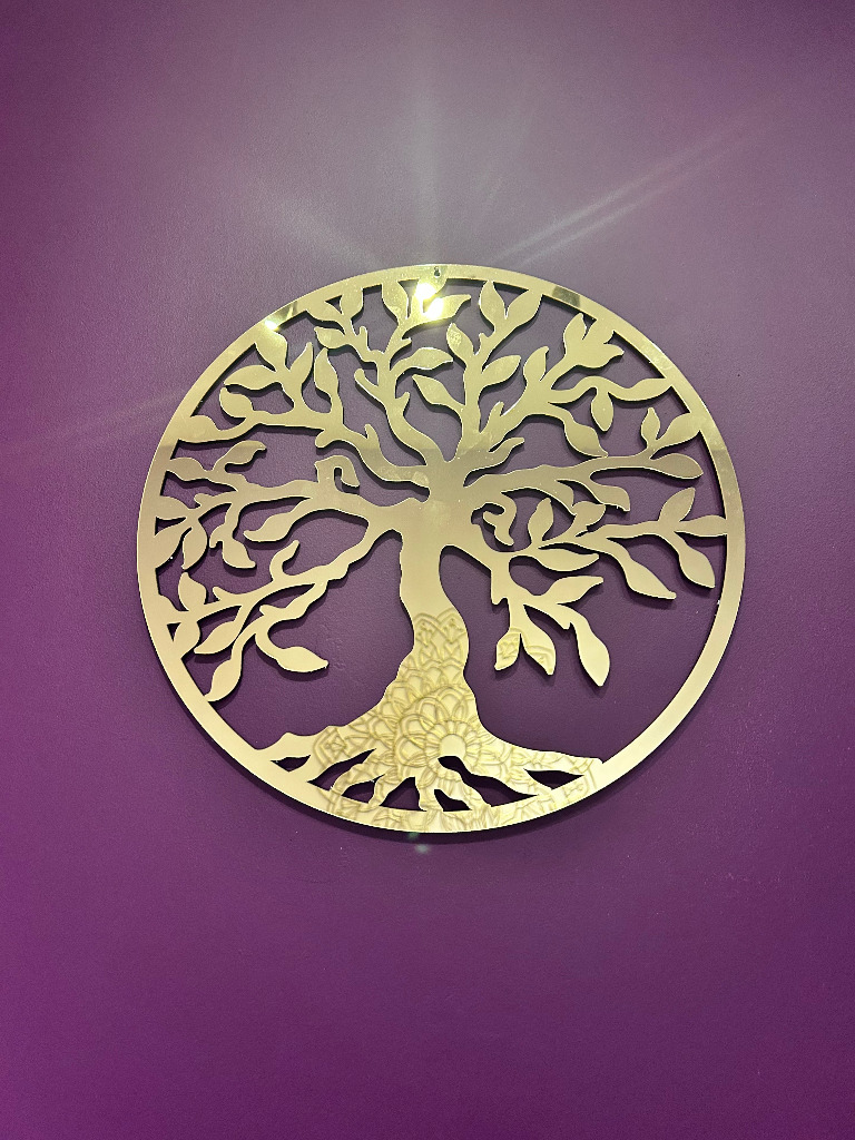 photo diplome Insaf NACEUR