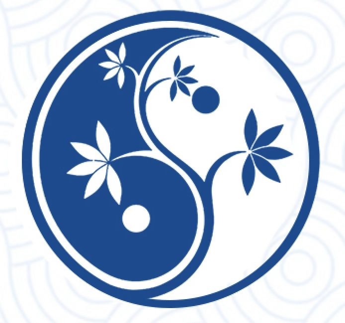 photo portrait Gilles MONDON Énergétique Chinoise