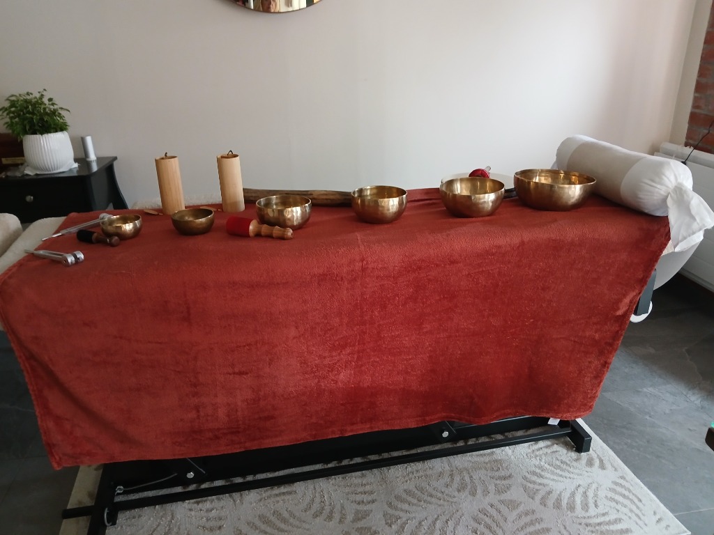 photo activite Fabienne Dupuis 