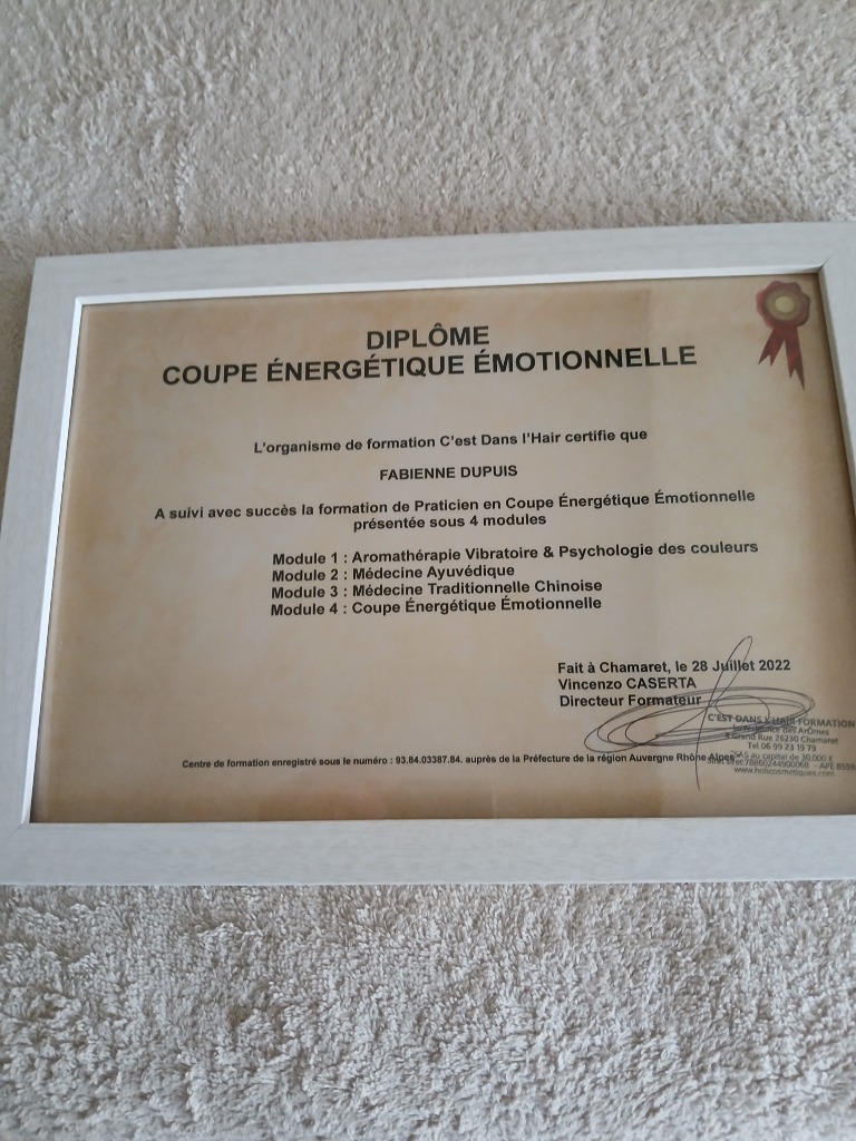 photo diplome Fabienne Dupuis 