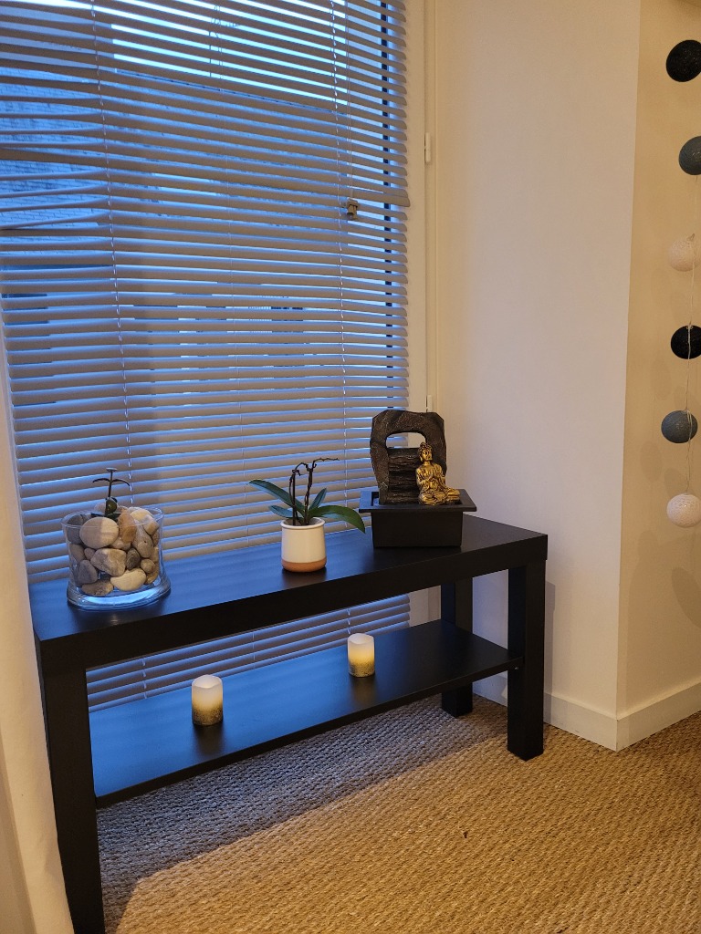 photo seance Sylvie Pelhâtre