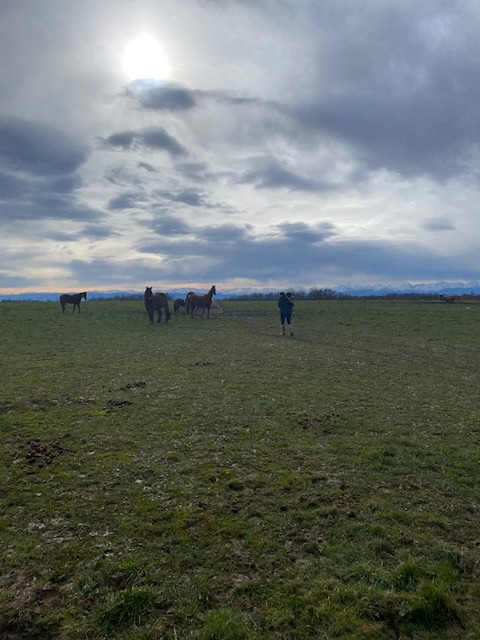 photo activite Norine Roudaire