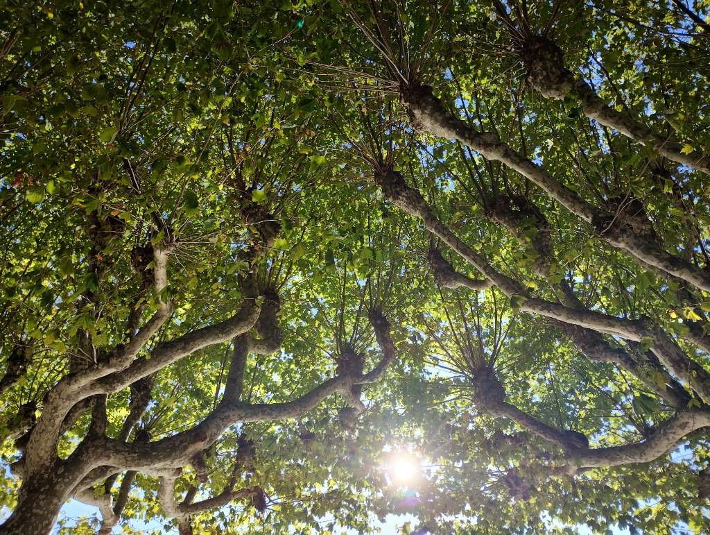 photo seance Julie Tiouka