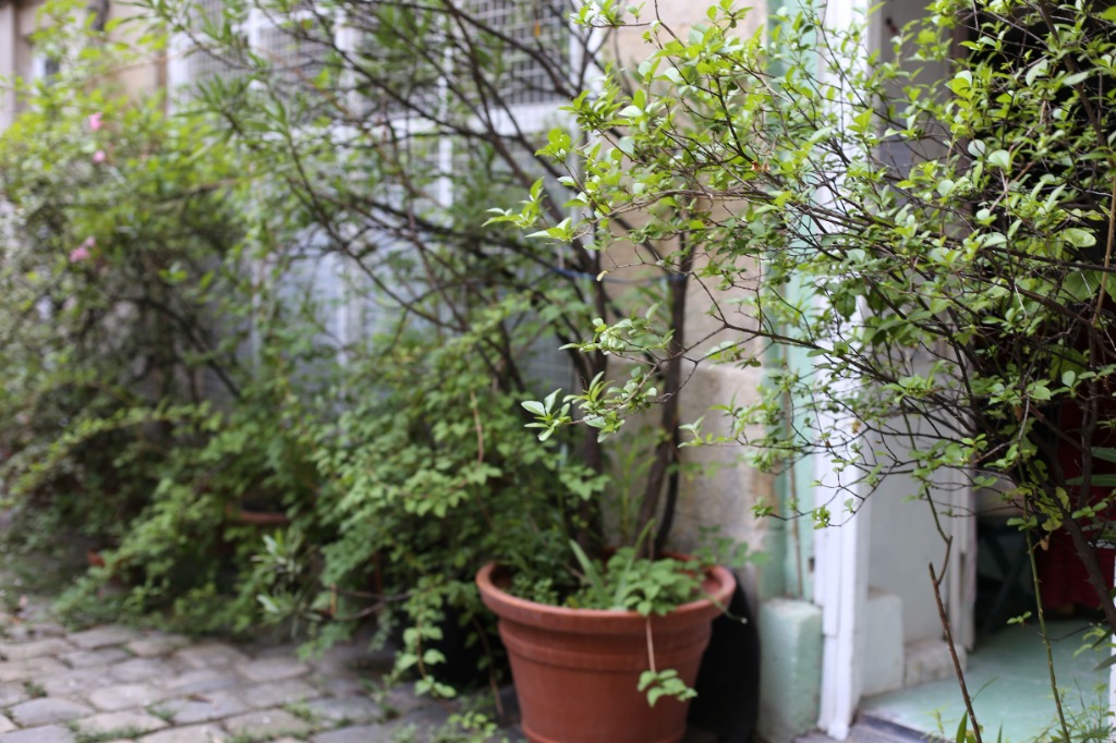 photo cabinet Melika Recio - Constellations Familiales