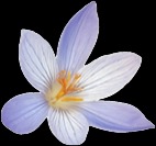 photo cabinet Mélanie Petit Naturopathe 