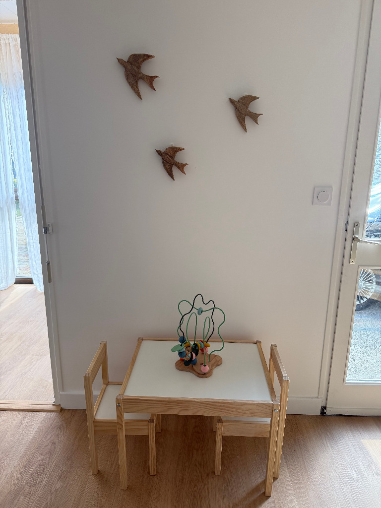 photo activite Safa MEJRI 