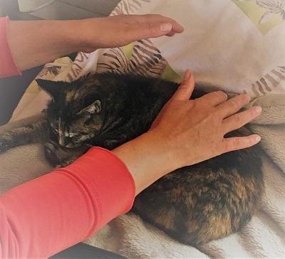 photo portrait Anima’Lis Reiki