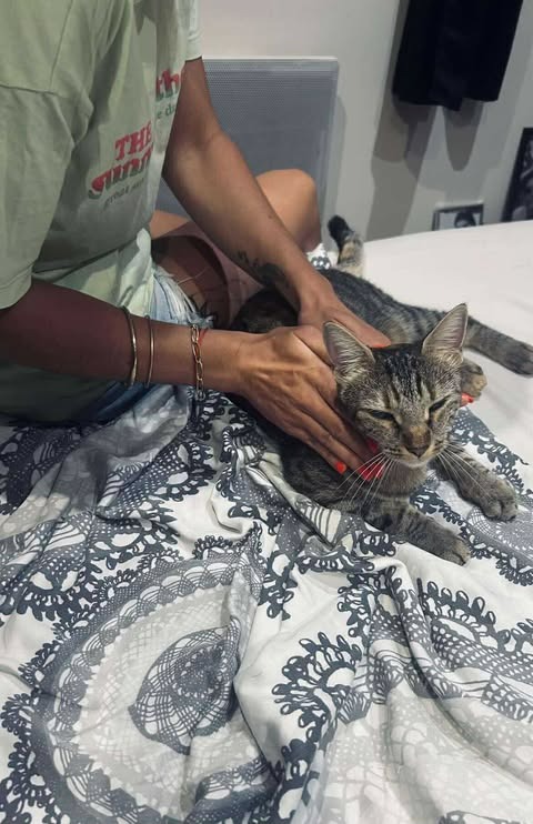 photo activite Reiki Soleil de Guérison