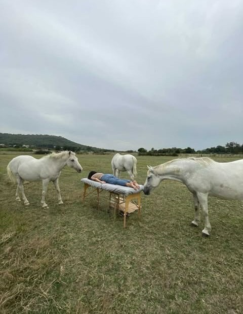 photo seance Reiki Soleil de Guérison