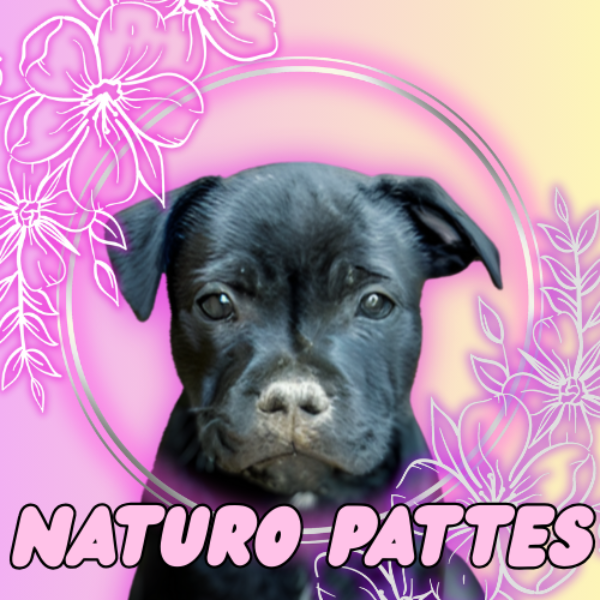Naturo pattes 