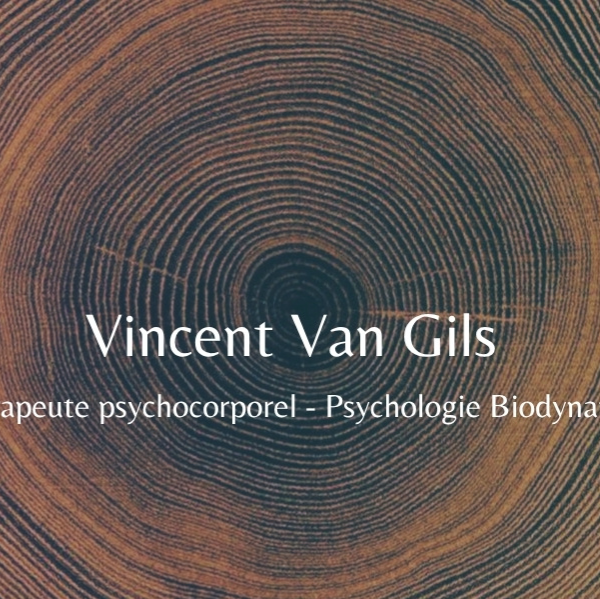 Vincent Van Gils
