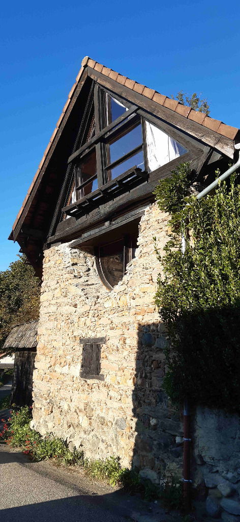 photo cabinet Biophilia ⸱ Géraldine Siméon