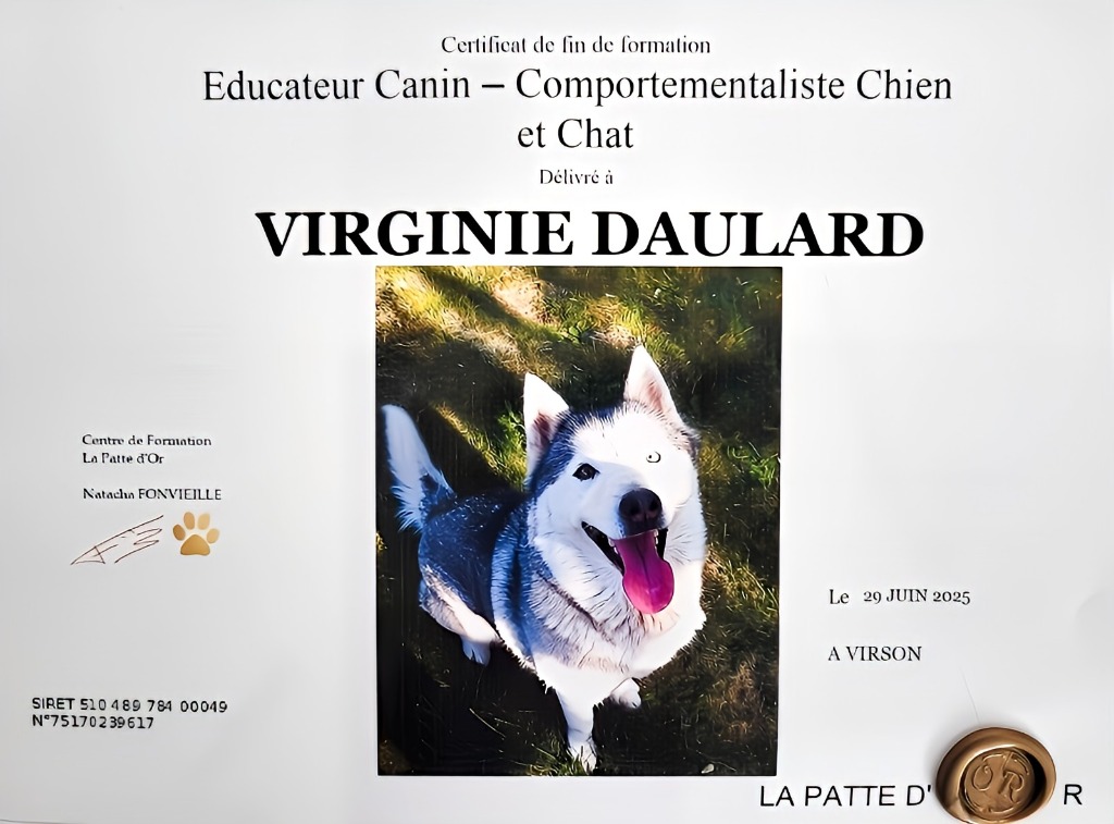 photo diplome Virginie Daulard 