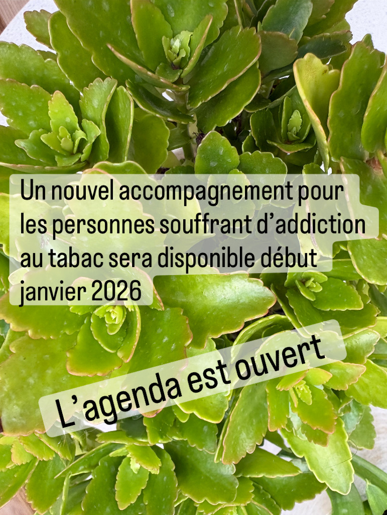 photo diplome Christine GOMEZ - MAMIN LA FEE 07-45-11-93-56